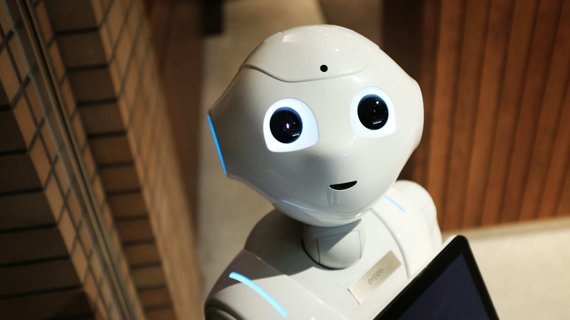 Person collaborating with a humanoid robot